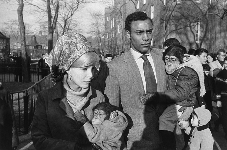 Garry Winogrand Central Park Zoo, New York City, 1967